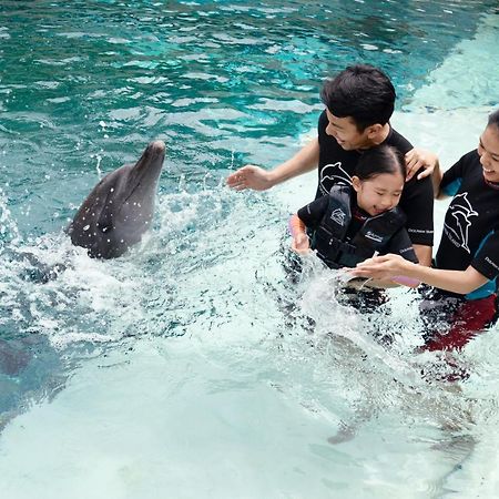 Resorts World Sentosa - Hotel Singapore Eksteriør billede Dolphin Interaction