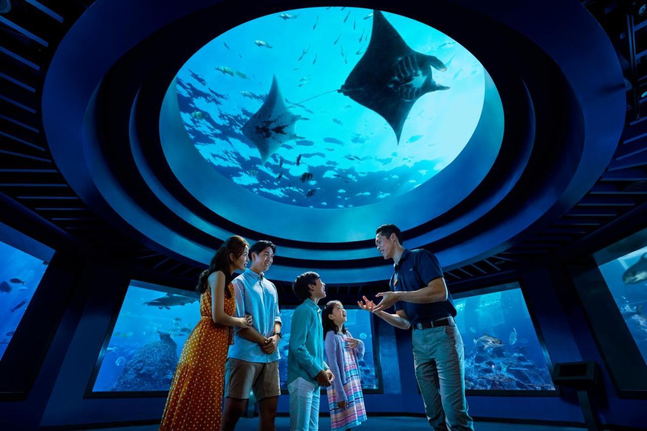 Resorts World Sentosa - Hotel Singapore Eksteriør billede The Lost Chambers Aquarium