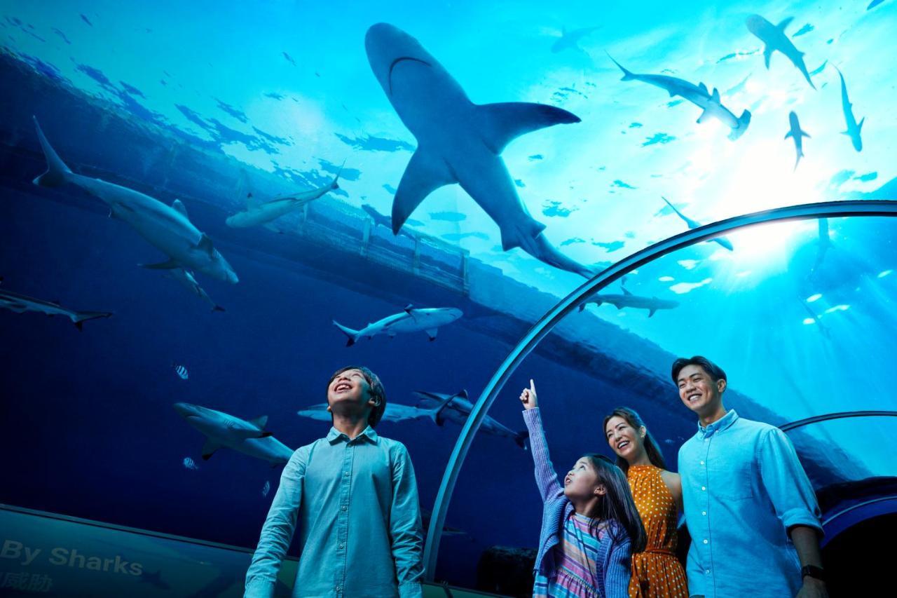 Resorts World Sentosa - Hotel Singapore Eksteriør billede The Lost Chambers Aquarium