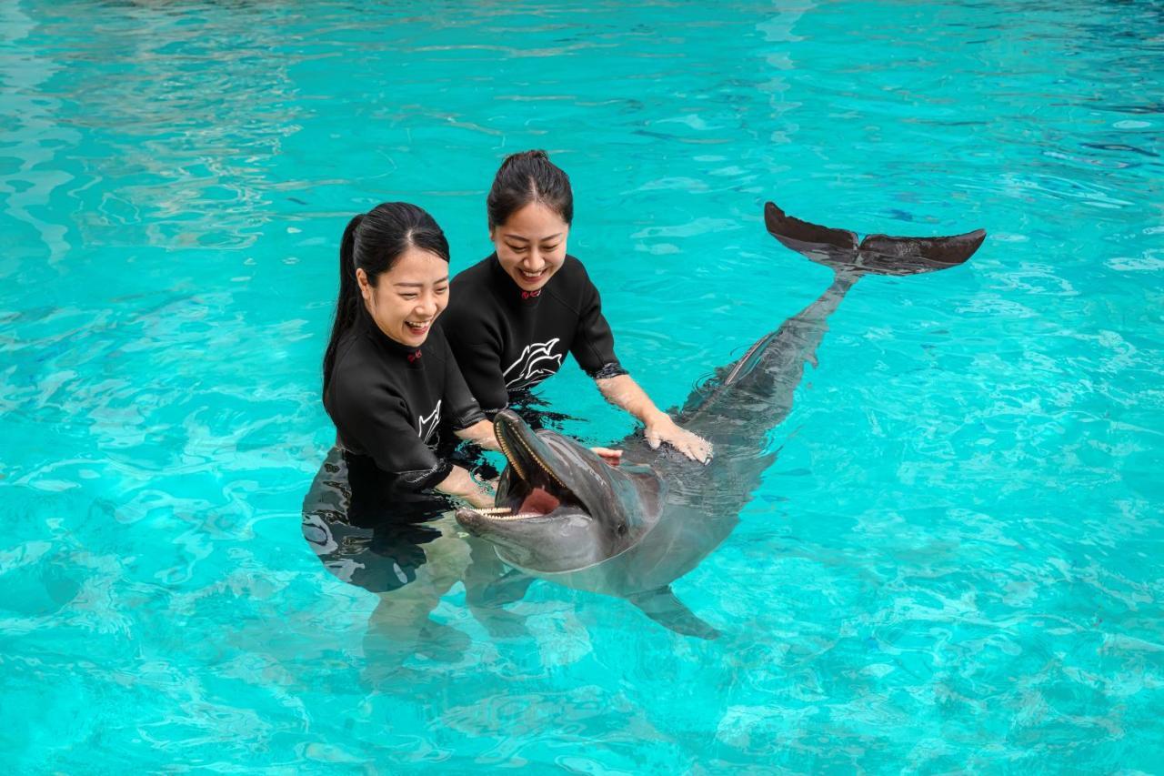 Resorts World Sentosa - Hotel Singapore Eksteriør billede Dolphin show at SeaWorld