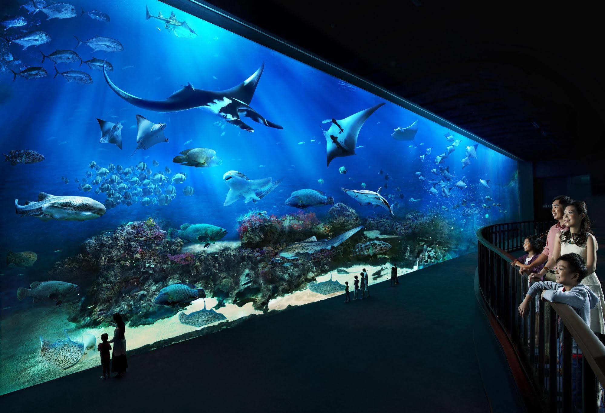 Resorts World Sentosa - Hotel Singapore Eksteriør billede The open ocean exhibit